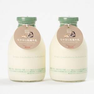 【毎月定期便】なかほら牧場牛乳〔500 ml〕2本セット全3回【配送不可地域：離島】【4075358】