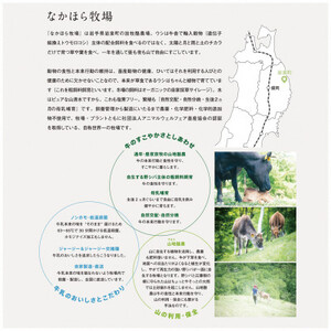 なかほら牧場のぷりん6個セット(カスタード/チョコ/ほうじ茶)_菓子・スイーツ プリン _【配送不可地域:離島】【1407879】