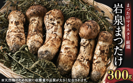 【2026秋発送】岩泉まつたけ 300g_野菜 松茸 きのこ まつたけ マツタケ_【配送不可地域：離島】【1421529】