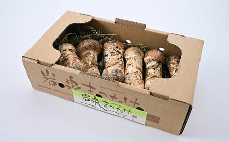 【2026秋発送】岩泉まつたけ 300g_野菜 松茸 きのこ まつたけ マツタケ_【配送不可地域：離島】【1421529】