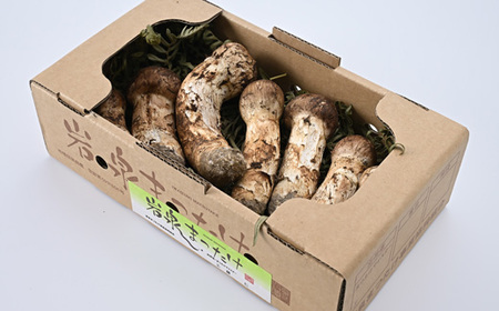 【2026秋発送】【自家用】岩泉まつたけ 300g_野菜 松茸 きのこ まつたけ マツタケ_【配送不可地域:離島】【1421549】