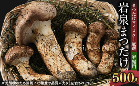 【2026秋発送】【自家用】岩泉まつたけ 500g_野菜 松茸 きのこ まつたけ マツタケ_【配送不可地域：離島】【1421552】