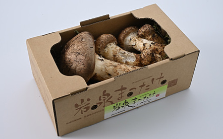 【2026秋発送】【自家用】岩泉まつたけ 500g_野菜 松茸 きのこ まつたけ マツタケ_【配送不可地域：離島】【1421552】