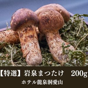 ≪特選≫　岩泉まつたけ  200g　天然【配送不可地域：離島】【1423702】