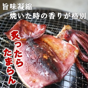 北三陸産 真イカの一夜干し 3枚入×3袋 いか一夜干し いか イカ焼き イカ飯 BBQ イカゲソ 