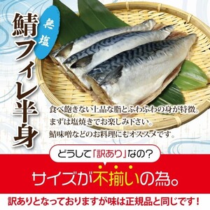 【年内発送】 【訳あり】 さば サバ 北三陸産 無塩 鯖フィレ 半身 1kg (4~7枚入り) 【真空パック入り】 切身 フィレ 魚 海鮮 焼き魚 おかず 年内配送 年内お届け