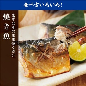 【年内発送】 【訳あり】 さば サバ 北三陸産 無塩 鯖フィレ 半身 1kg (4~7枚入り) 【真空パック入り】 切身 フィレ 魚 海鮮 焼き魚 おかず 年内配送 年内お届け