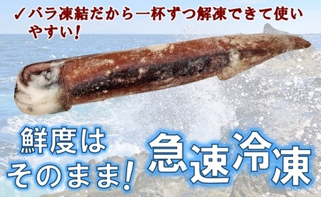 三陸水産 冷凍スルメイカ 約1kg （5～6杯程度） イカ 刺身 いかの塩辛 いかめし いかげそ イカ焼き フライ いかソーメン 新鮮 海産物 魚介 使いやすい 便利
