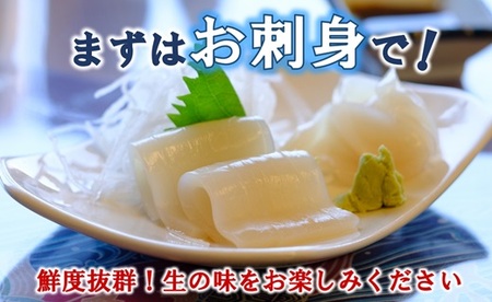 三陸水産 冷凍スルメイカ 約1kg （5～6杯程度） イカ 刺身 いかの塩辛 いかめし いかげそ イカ焼き フライ いかソーメン 新鮮 海産物 魚介 使いやすい 便利