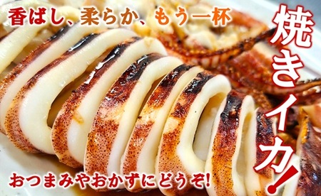 三陸水産 冷凍スルメイカ 約1kg （5～6杯程度） イカ 刺身 いかの塩辛 いかめし いかげそ イカ焼き フライ いかソーメン 新鮮 海産物 魚介 使いやすい 便利