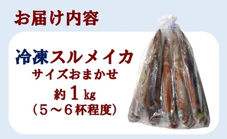 三陸水産 冷凍スルメイカ 約1kg （5～6杯程度） イカ 刺身 いかの塩辛 いかめし いかげそ イカ焼き フライ いかソーメン 新鮮 海産物 魚介 使いやすい 便利