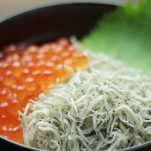 【年内発送】 北三陸 釜揚げ小女子 5パック 年内配送 年内お届け