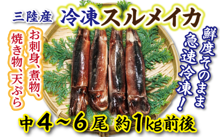 【年内発送】 冷凍スルメイカ 中 ４本～６本 （約１kg前後） いか 刺身 いかめし イカの塩辛 イカ焼き 年内配送 年内お届け 