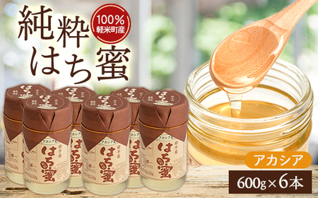 【100%軽米町産】天然ハチミツセット(アカシア蜜の600g6本)_はちみつはちみつはちみつはちみつはちみつ_【配送不可地域：離島・沖縄県】【1070551】