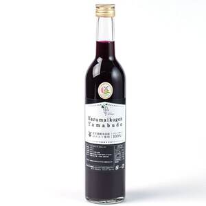 【軽米町産ヤマブドウ使用】100%山ぶどうジュース　500ml×1本_ぶどうぶどうジュースジュースジュース_【配送不可地域：離島・沖縄県】【1101954】