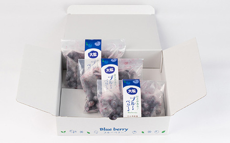 軽米町産【完熟大粒ブルーベリー】冷凍　300g×3袋(合計約900g)【配送不可地域：離島・沖縄県】【1675299】