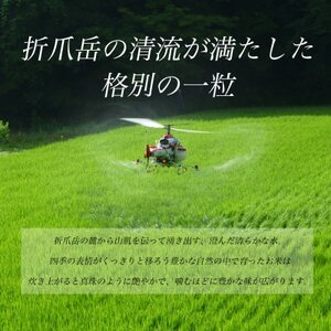 令和7年産 岩手県軽米町産 精米 あきたこまち 5kg【配送不可地域:離島・沖縄県】【1714161】