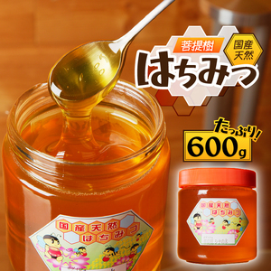 2025年新蜜【北海道滝川産】高見養蜂場の純粋はちみつ(菩提樹、シナの木600g×1本)