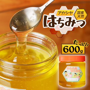 2025年新蜜【北海道滝川産】高見養蜂場の純粋はちみつ(アカシヤ600g×1本)