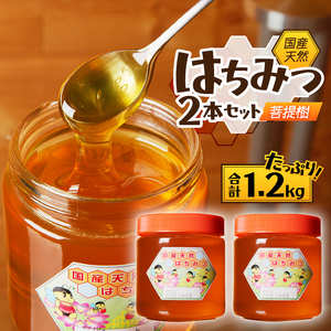 2025年新蜜【北海道滝川産】高見養蜂場の純粋はちみつ(菩提樹、シナの木600g×2本)