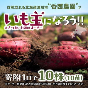 いも主(さつまいも畑のオーナー)優待権