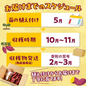 いも主(さつまいも畑のオーナー)優待権