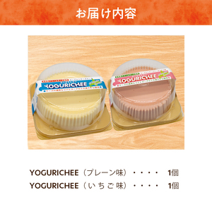 ヨーグルトチーズケーキ(YOGURICHEE)セット
