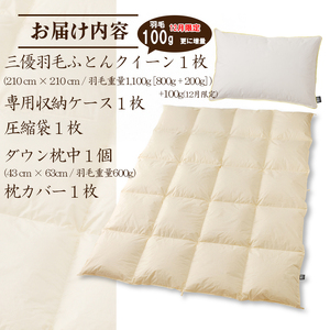 【国内ホテル・旅館70%シェア】寝具2点セット (クイーン) 国内生産 羽毛布団 掛け布団 ふとん まくら | 日本製 洗える 寝具 ベッド 布団 生地 綿100% クリーニング 枕 羽毛 受注生産 一流ホテル 北海道 【 滝川市 】