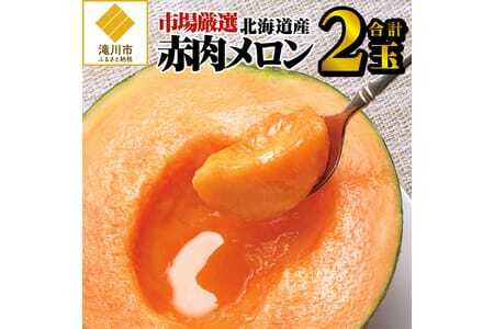 【2023年出荷受付】北海道産赤肉メロン大玉 2玉