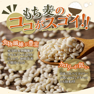 3カ月連続お届け【ごはんで腸活】もち麦ごはんレトルト48パック