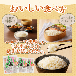 6カ月連続お届け【ごはんで腸活】もち麦ごはんレトルト48パック