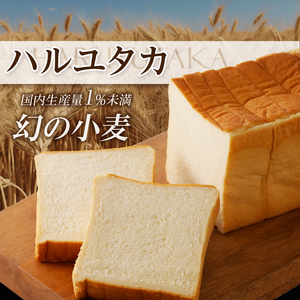 北海道滝川産「ハルユタカ(小麦)」使用!高級食パン【なご実(リッチ)】