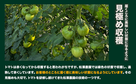 大玉トマト 2kg 9~12玉   松澤農園  岩手県九戸村