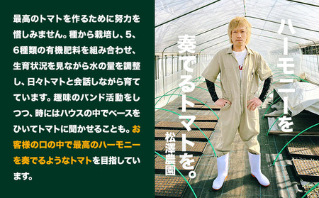 大玉トマト4kg (18-24玉) 松澤農園  岩手県 九戸村 