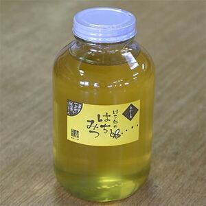 一戸町産はちみつ はち郎のはちみつ一升2.4kg(あかしあ)【1088867】