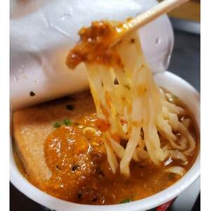 レトルト「カフェ里やまのTODAカレー」180g×10パック【1599435】