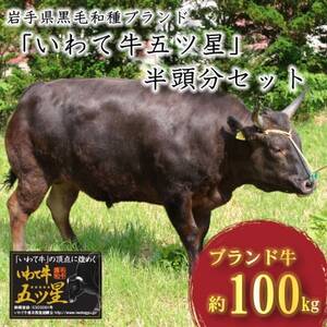 岩手県黒毛和種ブランド『いわて牛五ッ星』半頭分 精肉セット【配送不可地域:離島】【1637913】