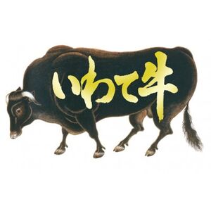 岩手県黒毛和種ブランド『いわて牛五ッ星』半頭分 精肉セット【配送不可地域:離島】【1637913】