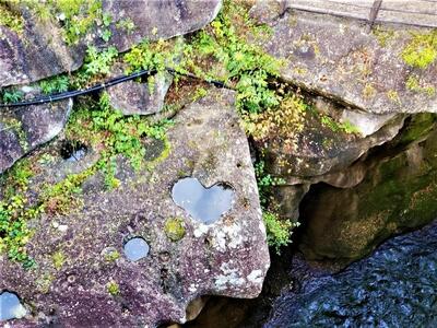 観光タクシー 秋保・定義コース 【チケット 券 人気 おすすめ 】