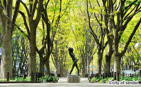 【仙台市】JTBふるさと旅行券（90,000円分）有効期間5年 | 予約 宿泊 観光 体験 温泉 ホテル 旅館 チケット 子供 子連れ カップル 家族 店頭 電話 仙台