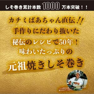 満足する鉄板焼きしそ巻き(5種)食べ比べセット 計360g