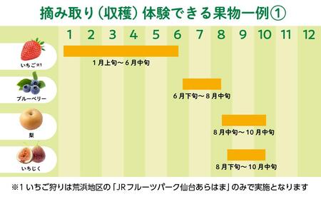 旬の果物摘み取り体験チケット　1回5,000円分　【チケット 券 人気 おすすめ 】