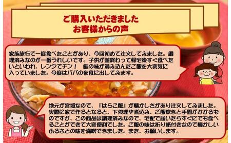 宮城 三陸 本場の味 極上鮭とイクラの味 ご飯が旨い◎鐘崎の「はらこ飯」6P