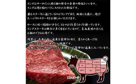 最高級A5ランク仙台牛ランプステーキ 9枚【 ランプ ステーキ 仙台牛 】