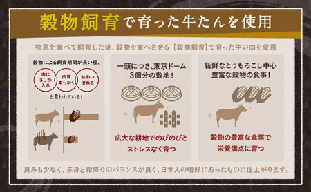 仙台発祥 牛たん 塩味 300g×2  ｜ 牛たん BBQ