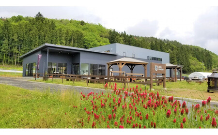 【ふるさと納税】ネオトレイル オレンジ NEO TRAIL ORANGE 2024　750ml×1本　お酒 アルコール飲料 ワイン 赤ワイン 白ワイン  家飲み  飲み会 イベント 仙台市