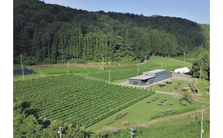 【ふるさと納税】ネオトレイル オレンジ NEO TRAIL ORANGE 2024　750ml×1本　お酒 アルコール飲料 ワイン 赤ワイン 白ワイン  家飲み  飲み会 イベント 仙台市