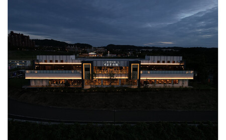 【ふるさと納税】愛子天空の湯 そよぎの杜 入館無料券11枚　温泉 露天風呂 サウナ 日帰り 天然温泉 観光 旅行 旅 回数券 入浴券 仙台市