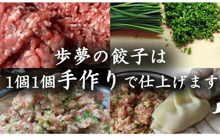 【ふるさと納税】鉄板餃子歩夢　手作り餃子　1kg（和豚もちぶた使用）