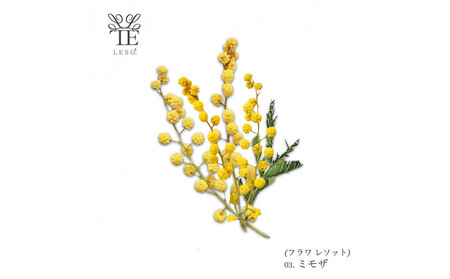 本物の花の香り リード・ディフューザー【ミモザ】